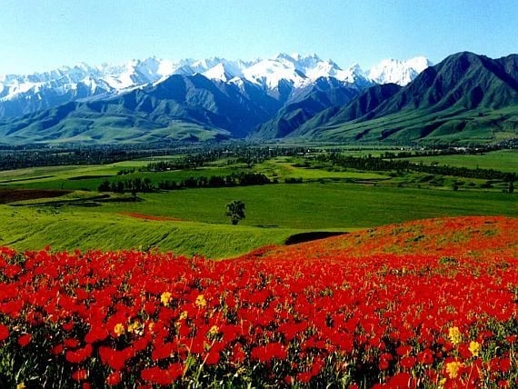 Fergana Valley: The Hidden Gem Tourists Skip (And Why They Shouldn't)